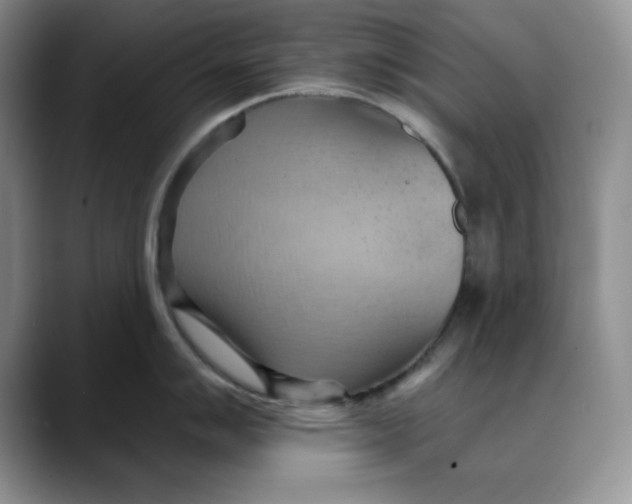 X0000088491007200706121545