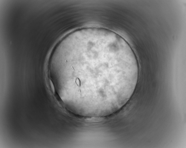 X0000088491008200706121545