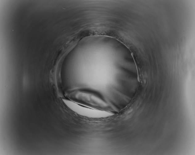 X0000088491010200706121545