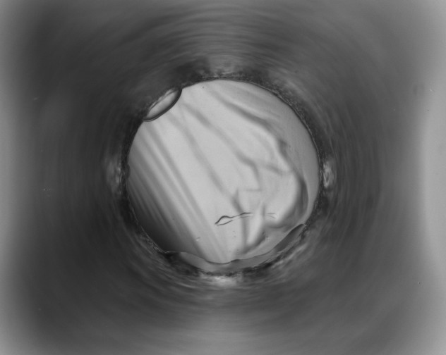 X0000088491011200706121545