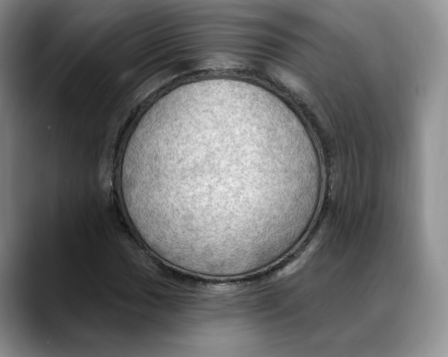 X0000088491017200706121545