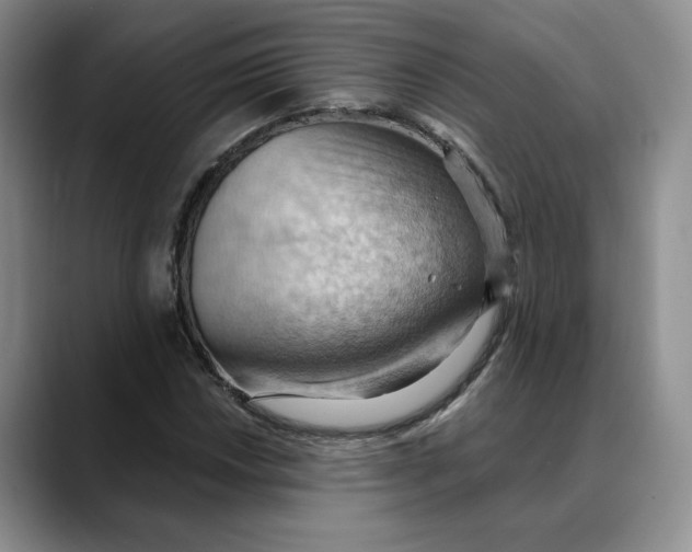 X0000088491018200706121545