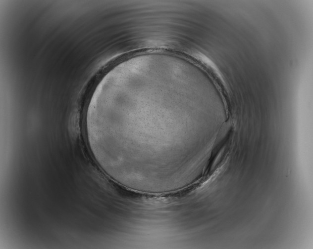 X0000088491019200706121545