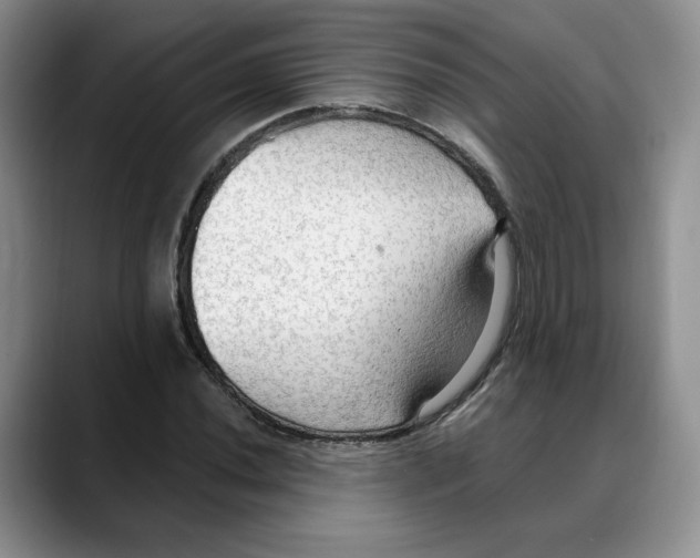 X0000088491020200706121545