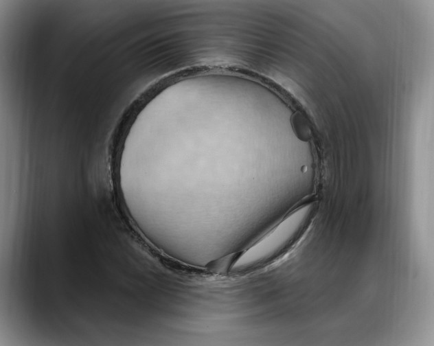 X0000088491022200706121545