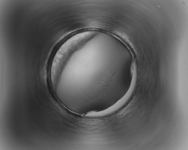 X0000088491024200706121545