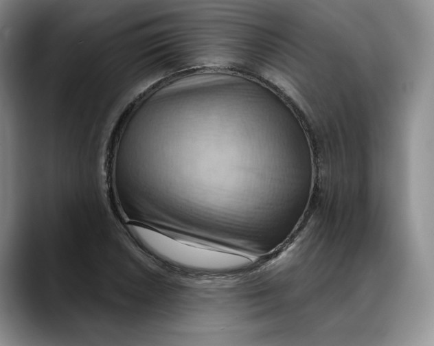 X0000088491026200706121545