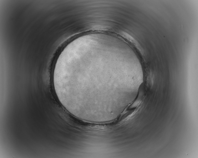 X0000088491027200706121545