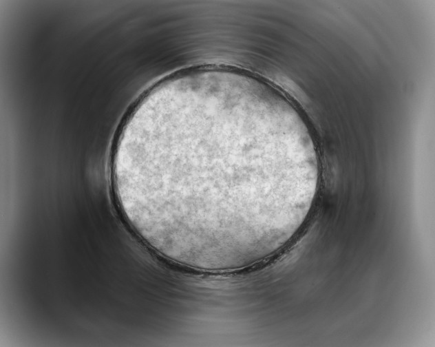 X0000088491028200706121545