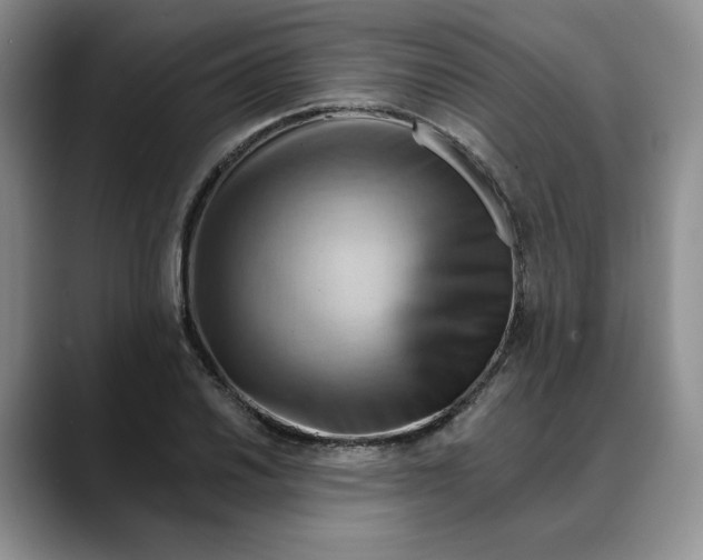 X0000088491030200706121545