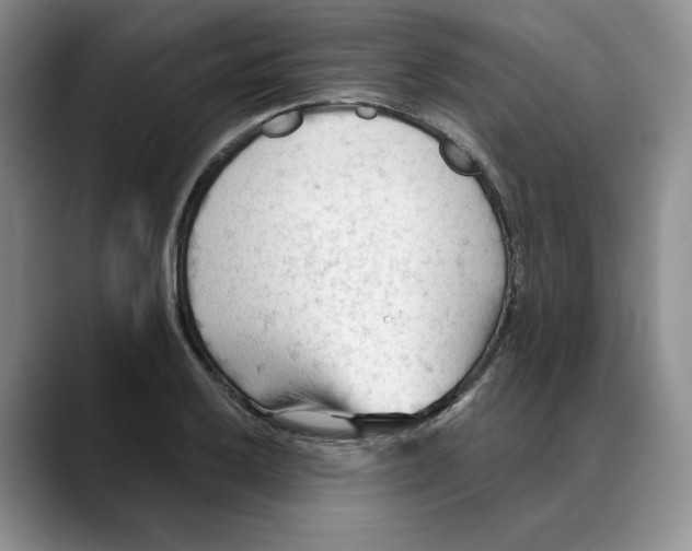 X0000088491032200706121545