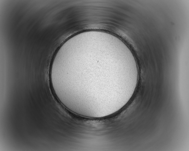 X0000088491033200706121545