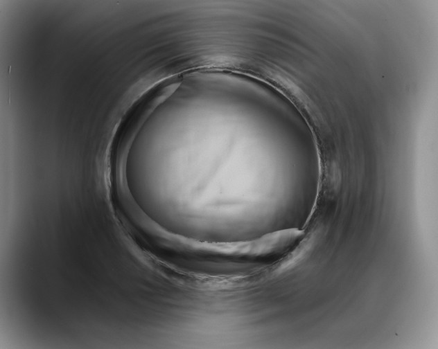 X0000088491034200706121545