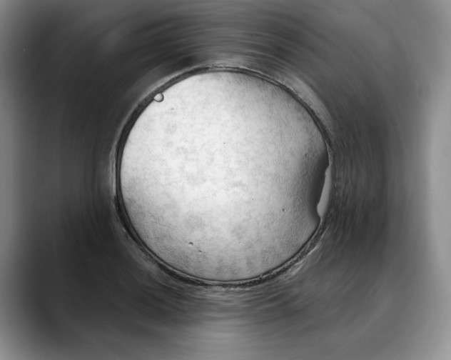 X0000088491036200706121545