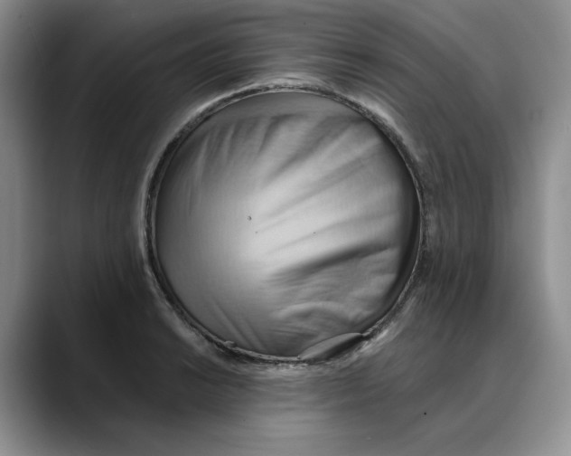 X0000088491038200706121545