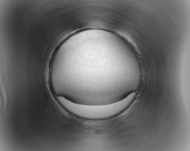 X0000088491040200706121545