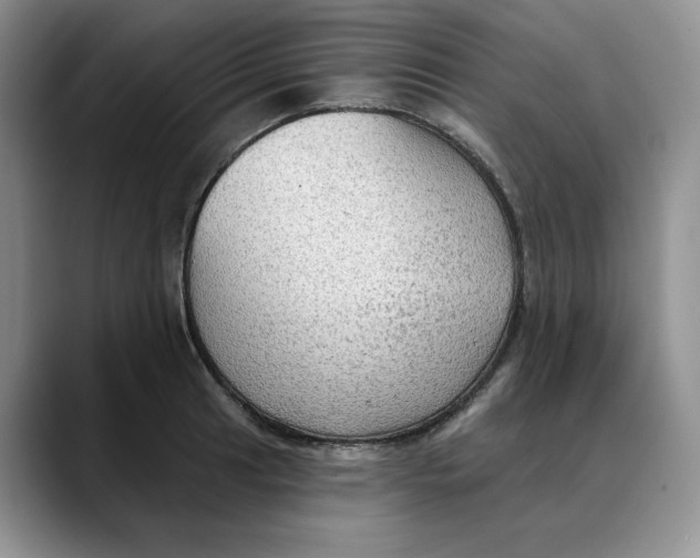 X0000088491041200706121545