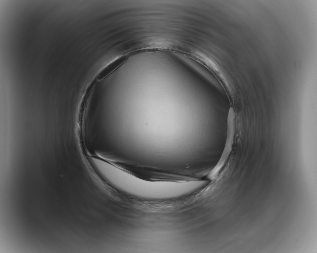 X0000088491042200706121545