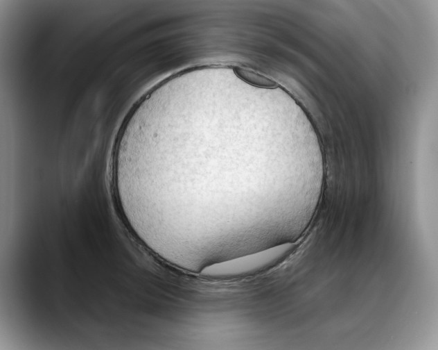 X0000088491044200706121545