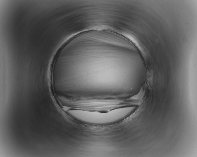 X0000088491046200706121545