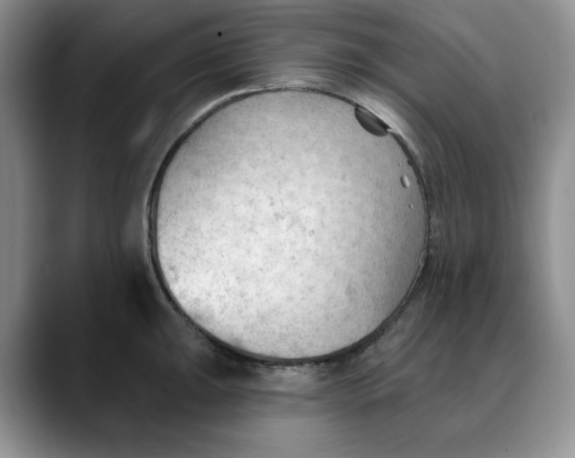 X0000088491047200706121545