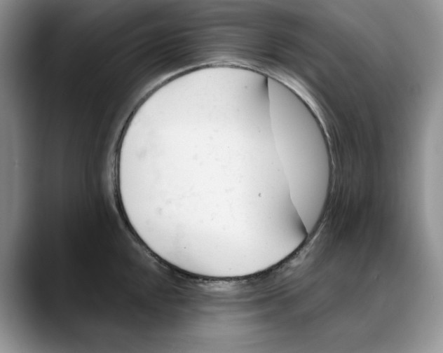 X0000088491048200706121545