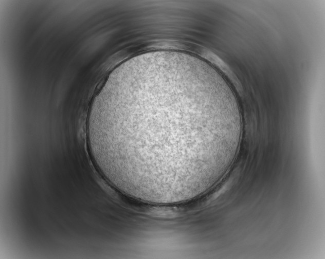 X0000088491049200706121545