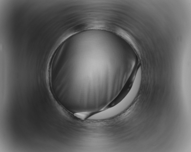 X0000088491050200706121545