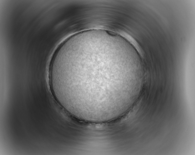 X0000088491051200706121545