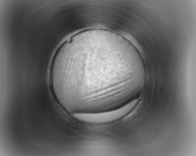 X0000088491052200706121545