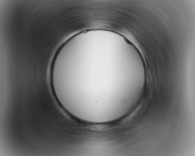 X0000088491053200706121545