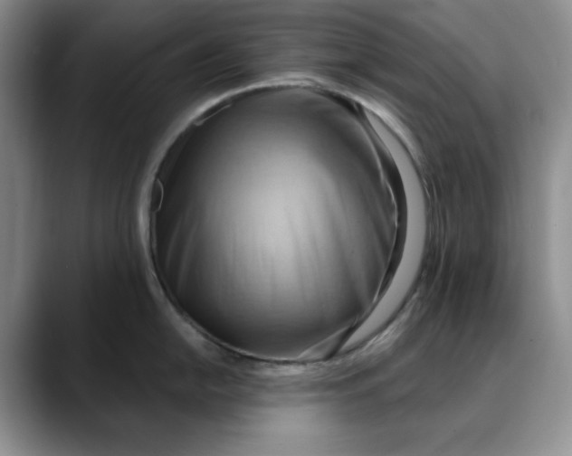 X0000088491054200706121545