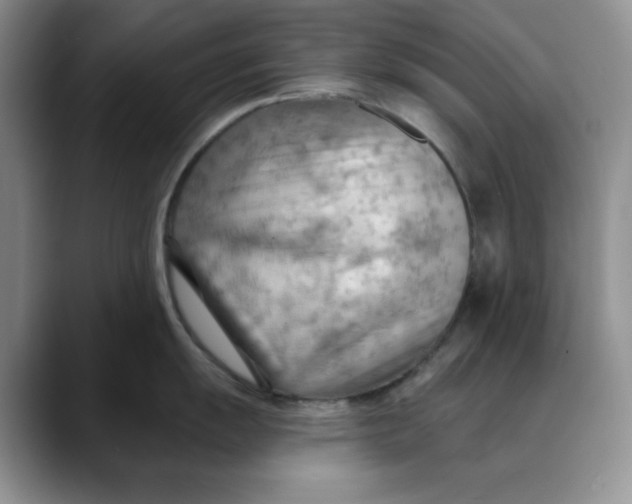 X0000088491055200706121545