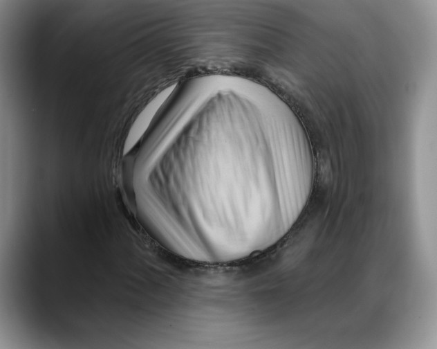 X0000088491060200706121545