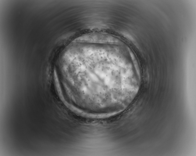 X0000088491063200706121545