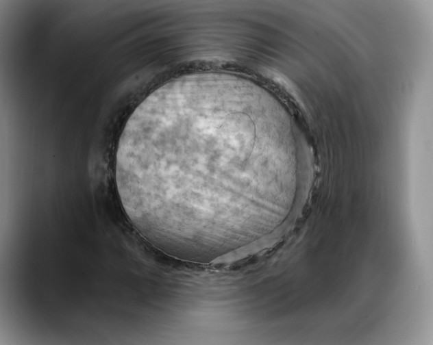 X0000088491064200706121545