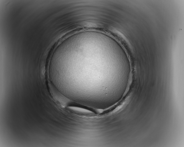 X0000088491065200706121545