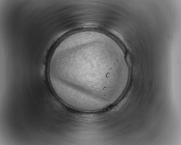 X0000088491066200706121545