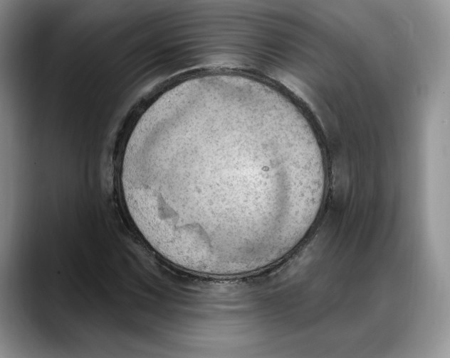 X0000088491067200706121545