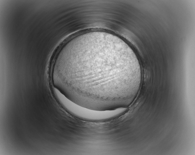 X0000088491068200706121545