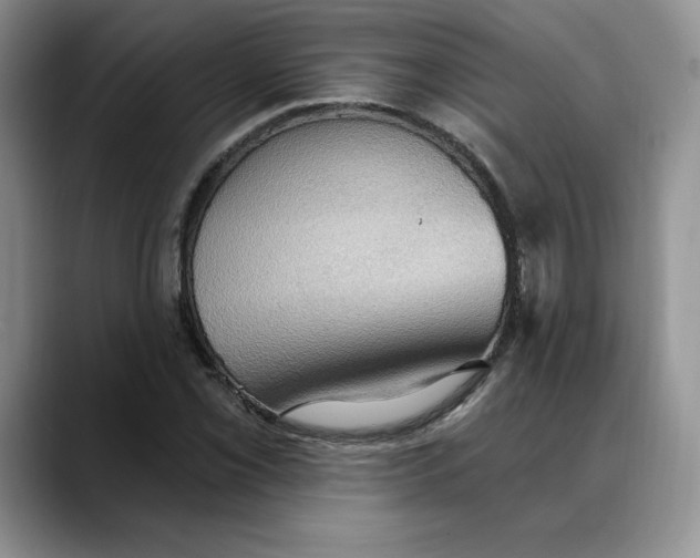 X0000088491069200706121545