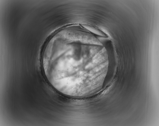 X0000088491071200706121545