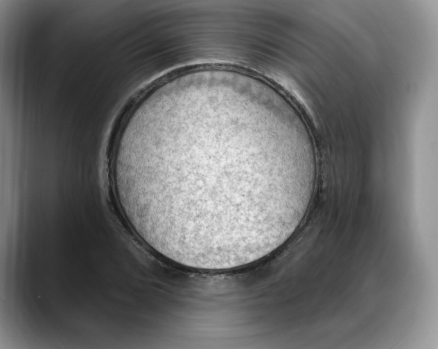 X0000088491072200706121545