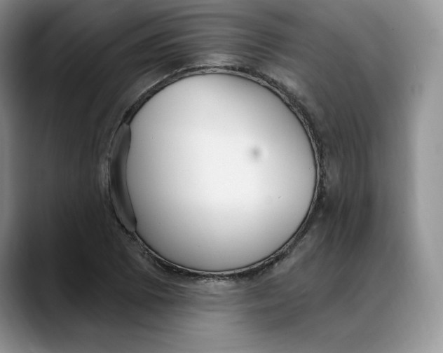 X0000088491073200706121545