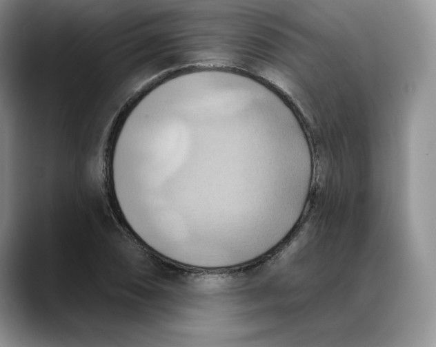 X0000088491074200706121545