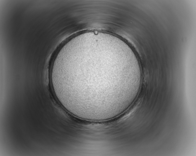 X0000088491075200706121545