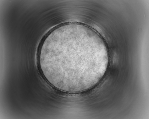 X0000088491076200706121545