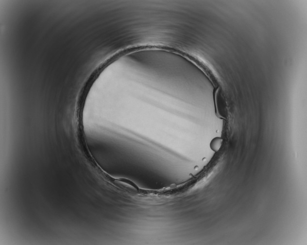 X0000088491077200706121545