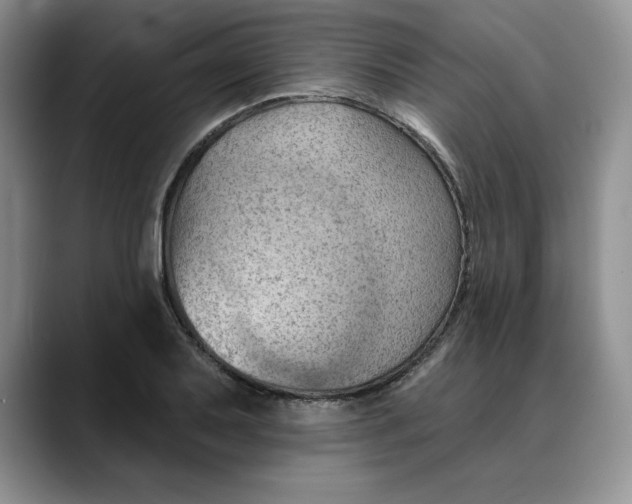 X0000088491079200706121545