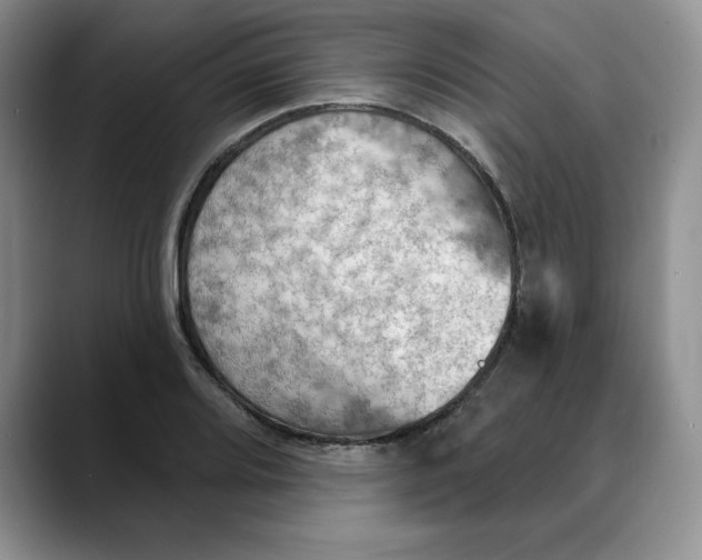 X0000088491080200706121545